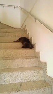 4oLRJaW4vfeke3o-