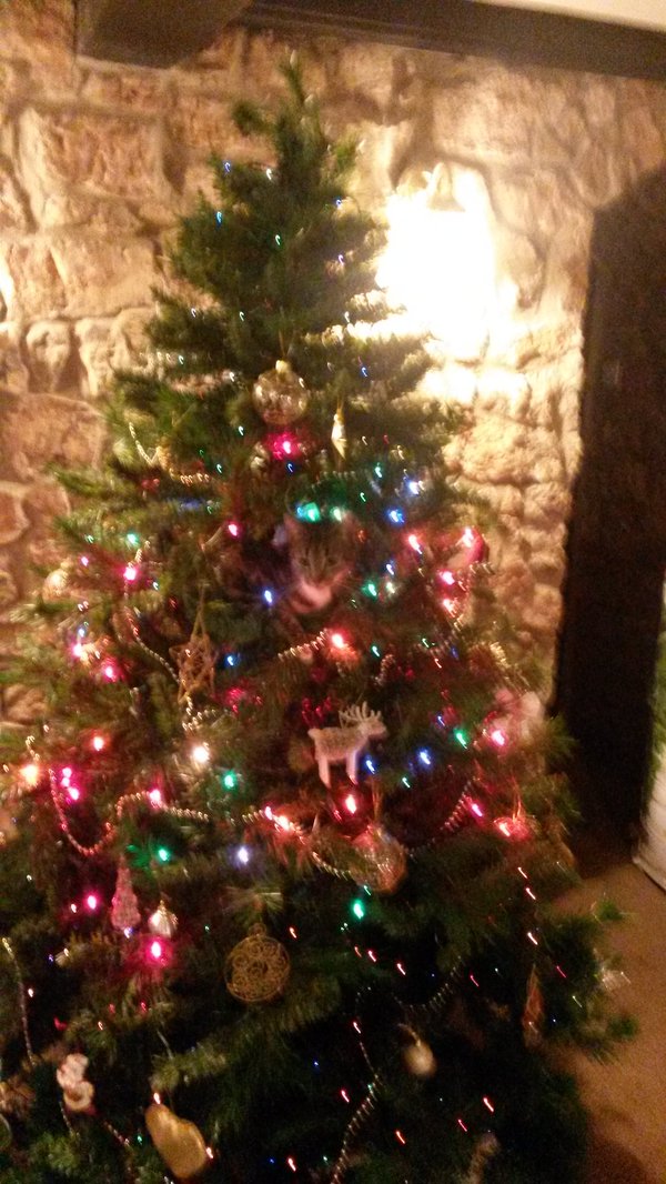 RT @Mumbee123: playing spot the bee with @Millbeef…