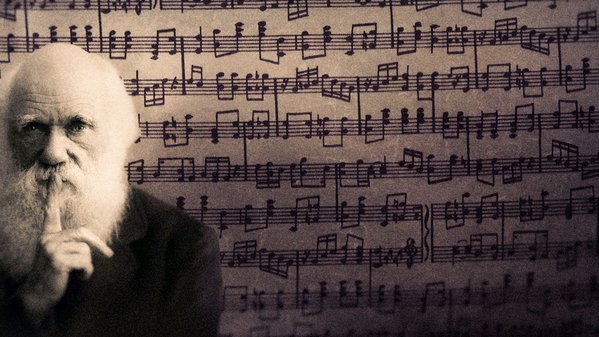 RT @xeni: Listen to Darwintunes: random music evol…