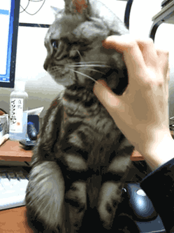 RT @OreoSpeedwagon_: No, random creep. That’s not…
