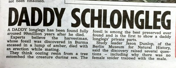 RT @NeruNox: when a million year old fossil has a…
