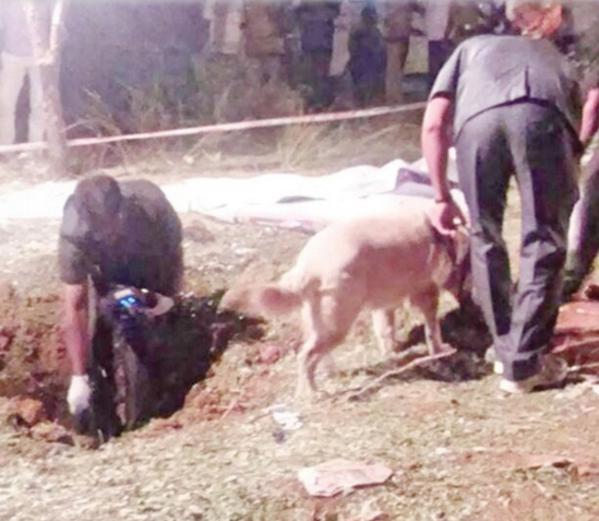 RT @nycjim: Indian man killed by meteorite. (Appea…