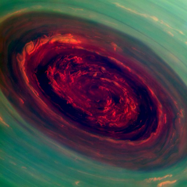 RT @NASA: Happy #Valentine’s Day. Share ‘The Rose,…