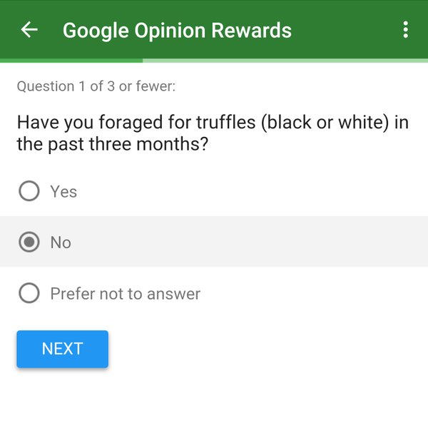 RT @FibreKitty: …strangest question the Google S…