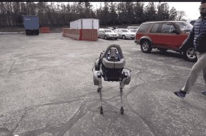 CdyUTQIW0AQY4Vt