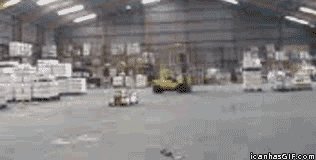 RT @AwardsDarwin: When the boss tells you to leave…