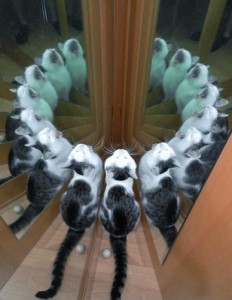 Cx4AuMZUAAAKjS0