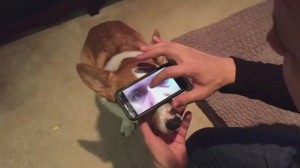 jXRPfa2WkG_uowt-