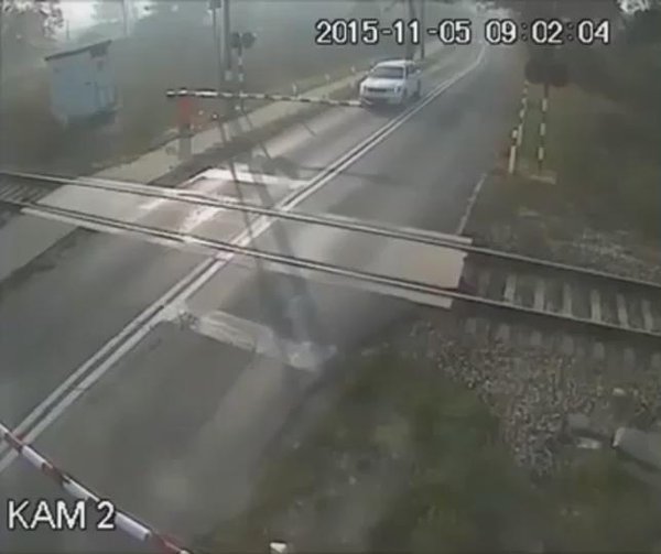 RT @AwardsDarwin: To add insult to injury this cyc…