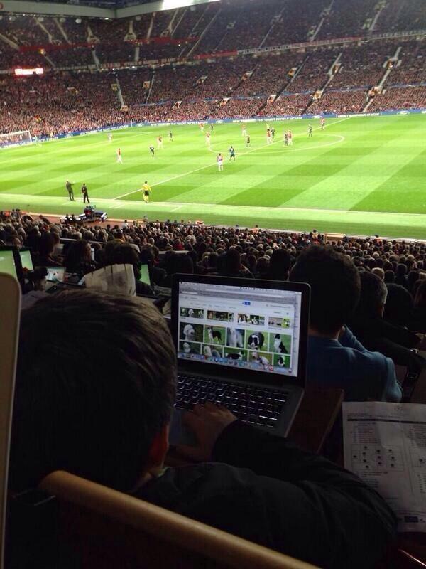RT @julesmattsson: Unfortunate journo caught looki…