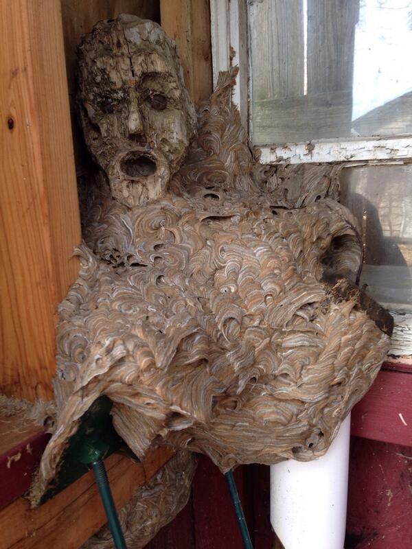 RT @BoingBoing: Humanoid wasps’ nest built over an…