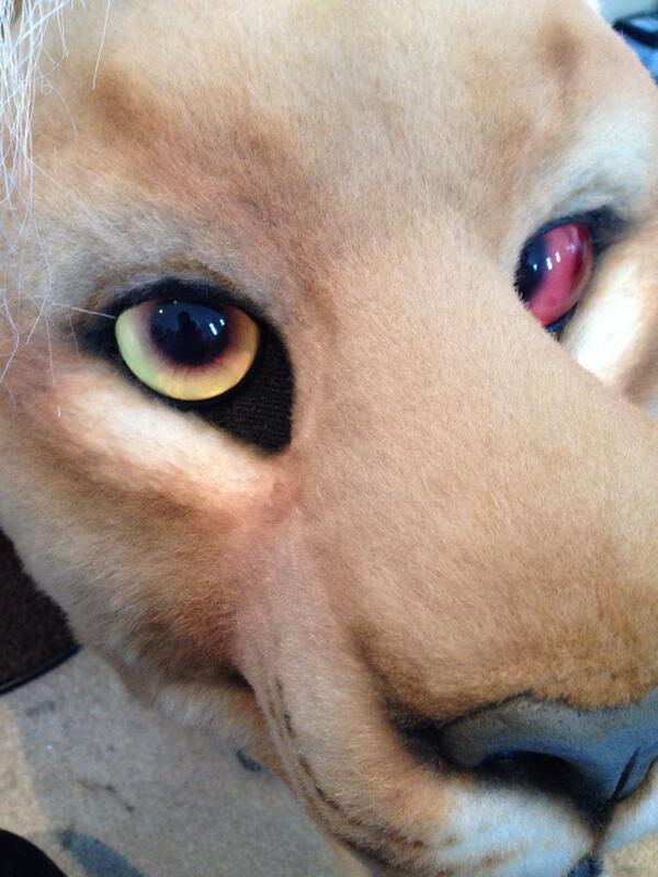 RT @FarukuCostumes: Lion is done, just waiting for…