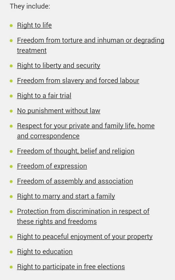 RT @RidaVaquas: These are all the rights in the Hu…