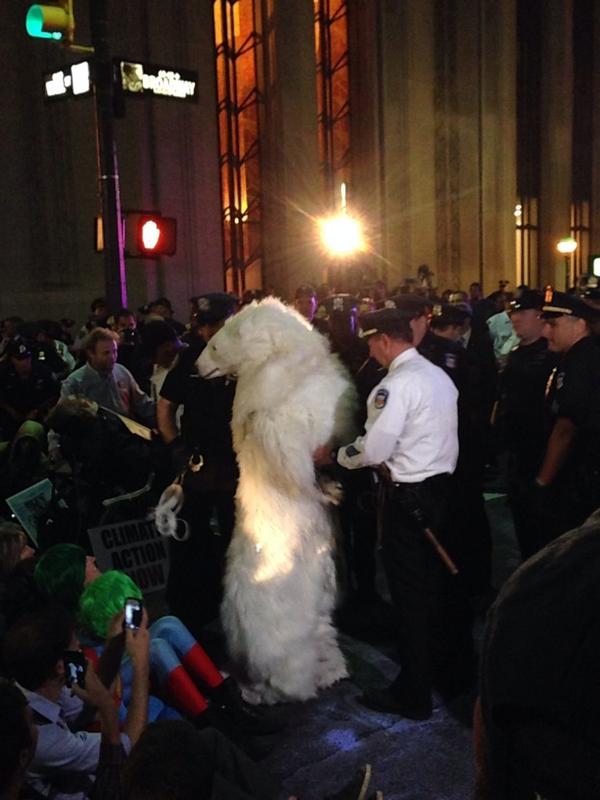 RT @jordanmammo: Police have arrested the polar be…