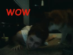 RT @9GAGTweets: Much soft, wow – TopGIF By @9GAGGi…