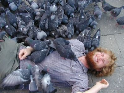 RT @PigeonJon: Ed Sheeran has turned up at our Eur…
