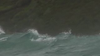 RT @MikeWardDraws: Drone attacked in the wild by i…