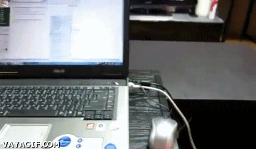 RT @Ratmask: Firefox update https://t.co/FciVTzhoo…