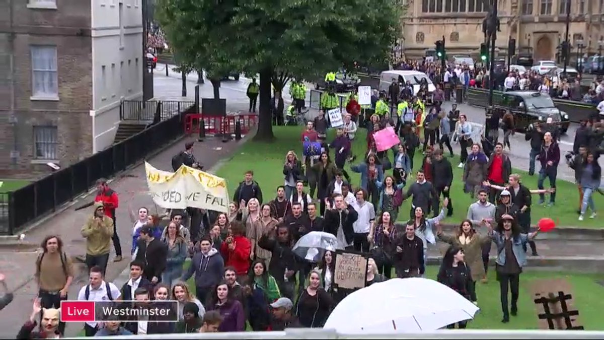 RT @julesmattsson: Remain demo invades college gre…